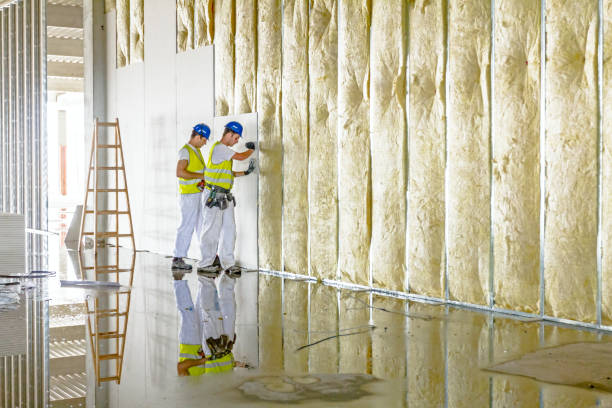 Professional Insulation Contractor in Sierra Madre, CA